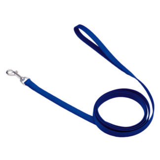 Coastal Pet Products Single-Ply Nylon Dog Leash Blue 5/8" x 72"