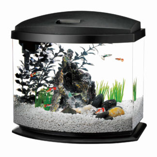 Aqueon MiniBow LED Aquarium Kit 1 Gallon Black 8.5" x 6.25" x 9.25"