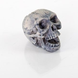 BioBubble Decorative Human Skull Small 2" x 1" x 2"