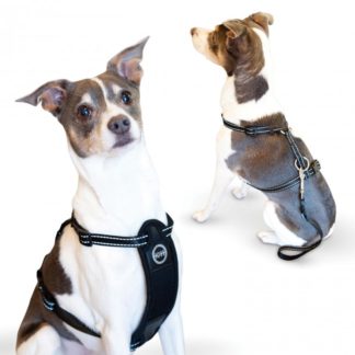 K&H Pet Products Travel Safety Pet Harness Small Black