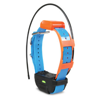 Dogtra Pathfinder TRX Tracking Only Collar Blue